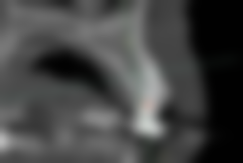 为什么说麦芽“靠谱又舒适”？