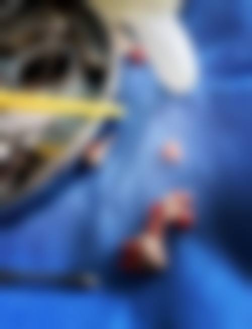 七、广州麦特登伯年口腔就医指南，便捷就诊不迷路