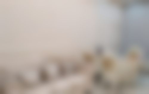 六、东莞长安泰康拜博口腔门诊部荣誉资质与患者口碑,见证品牌实力