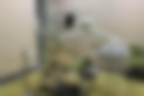 二、嘉兴摩尔口腔门诊部医生团队，打造专精诊疗服务