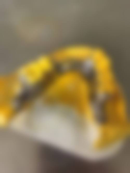 三、长沙县美奥口腔门诊部核心科室与特色项目