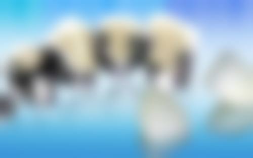 二、广东广州曾维健口腔医生团队，打造专精诊疗服务