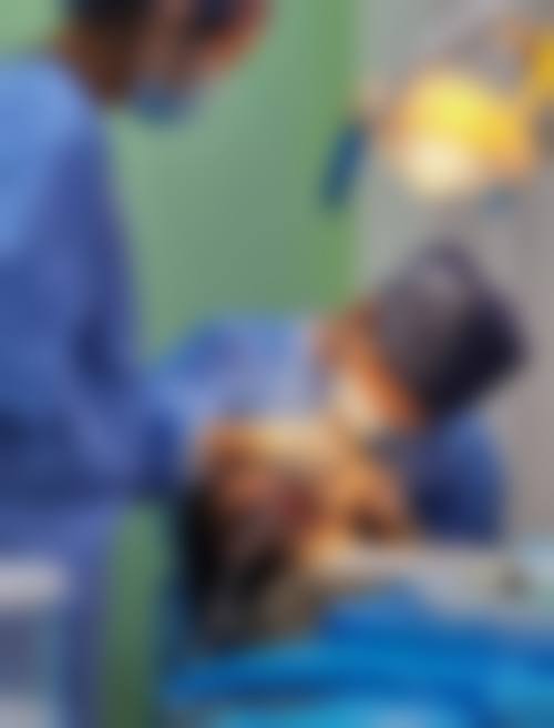 二、乐陵季敏口腔诊所医生团队，打造专精诊疗服务