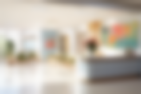 广东佛山美莱口腔