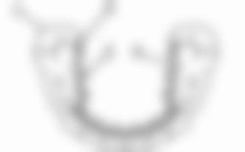 六、深圳格伦菲尔口腔(民治水榭春天)荣誉资质与患者口碑，见证品牌实力