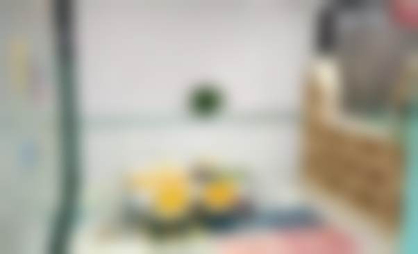 二、杭州名一口腔九堡门诊部医生团队，打造专精诊疗服务