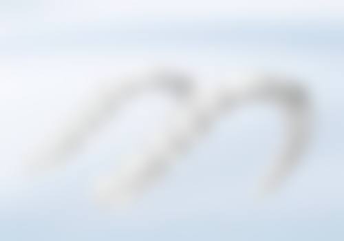 七、广东广州健雅口腔就医指南，便捷就诊不迷路