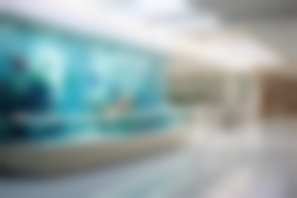 六、西安莎莎口腔诊所荣誉资质与患者口碑，见证品牌实力