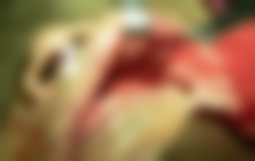 三、南宁横州圣齿口腔门诊部核心科室与特色项目