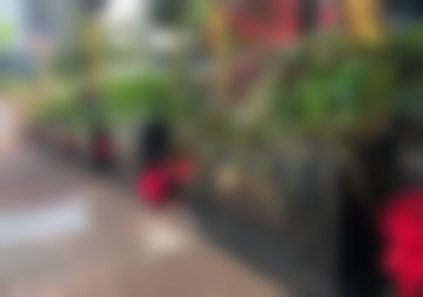 二、杭州开璞口腔矫正种植中 心医生团队，打造专精诊疗服务