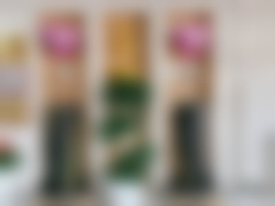 二、北京冠美紫竹桥口腔门诊部医生团队，打造专精诊疗服务