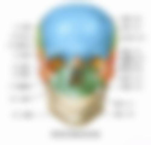 六、湛江霞山美林口腔门诊部荣誉资质与患者口碑，见证品牌实力