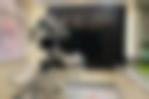 二、大连全好口腔（二七店）医生团队，打造专精诊疗服务