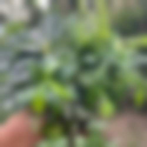 二、聊城冠县庆华嘉德口腔医生团队，打造专精诊疗服务