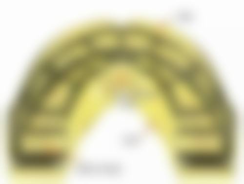 六、山东潍坊潍城蓓优口腔荣誉资质与患者口碑,见证品牌实力