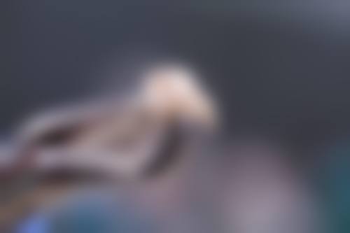 三、山阳县爱牙口腔诊所核心科室与特色项目