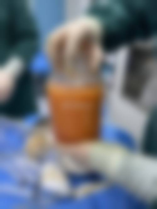 核心技术与特色项目介绍