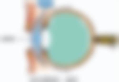 预约优惠活动：专属补贴不容错过