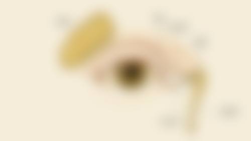 常见问题解答