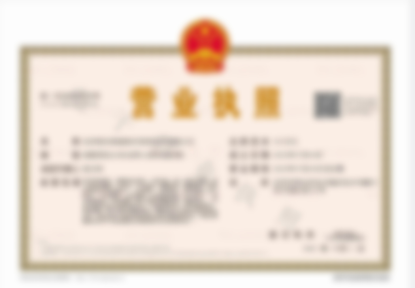 医院资质与骨干医生团队解析
