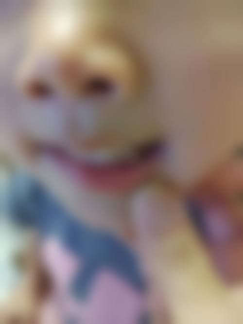 医院资质与正规性深度解析