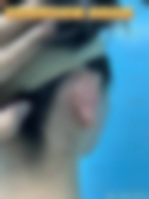 当前优惠活动与价格参考