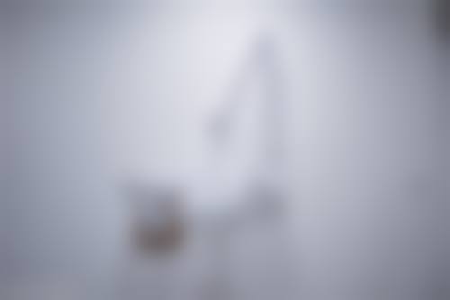 数字化设备与特色项目提升诊疗精细度
