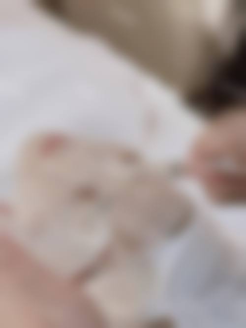 总结与预约指引