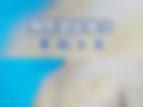 擅长项目详解