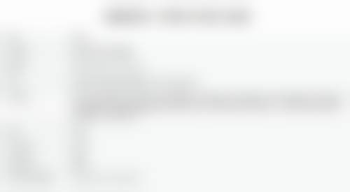 擅长项目详解