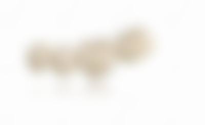 常见问题解答(FAQ)