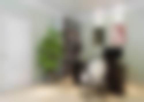 擅长项目详解