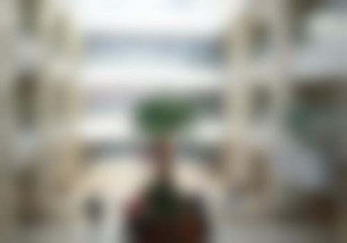 总结与预约号召
