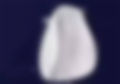 常见问题解答（FAQ）