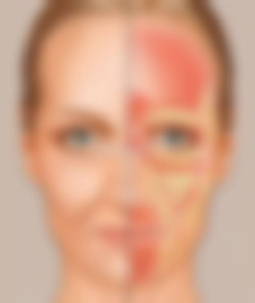 价格透明与优惠活动：高性价比之选