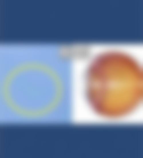 总结与预约建议