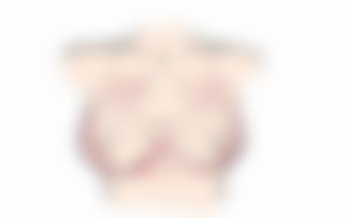 总结与预约指引