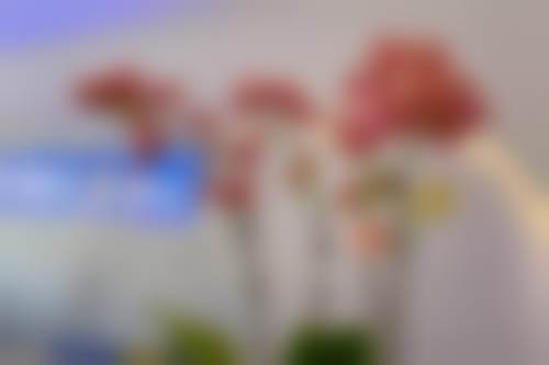 临床实例分享