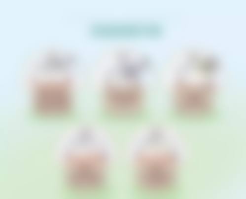 数字化设备与特色项目优势