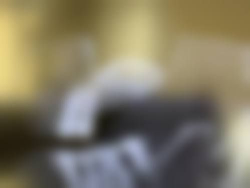预约优惠活动