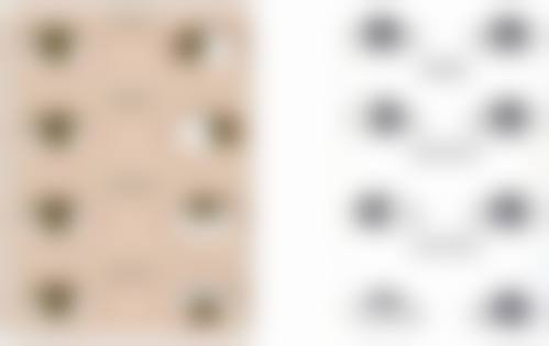 擅长项目详解