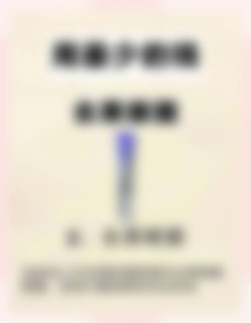 擅长项目详解