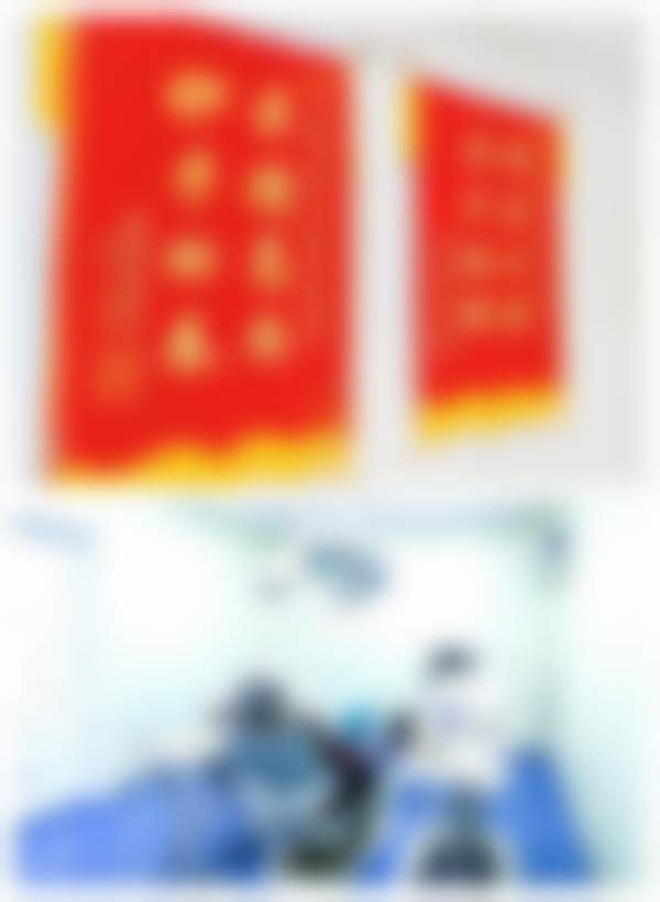 擅长项目详解