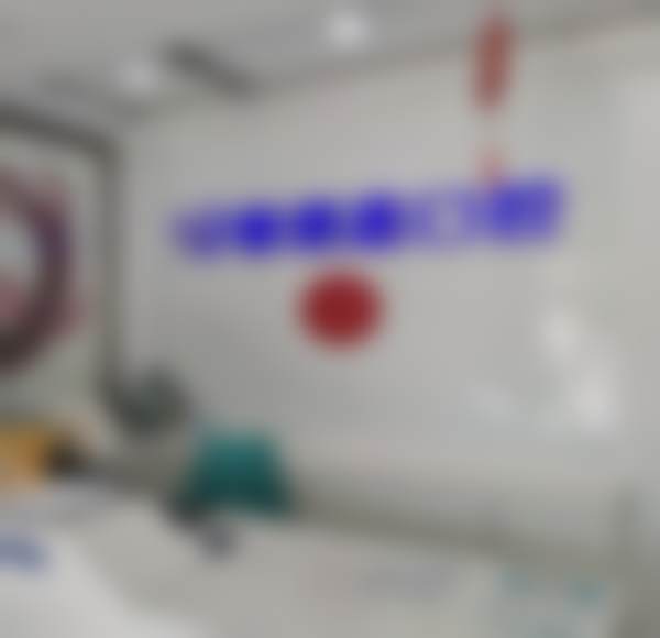 擅长项目详解