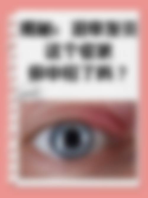 资质认证与综合实力解析