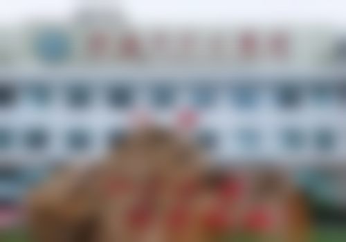 具有影响力资质与医联体背景保护诊疗正规性