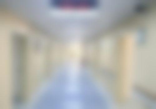 常见问题解答与交通指引