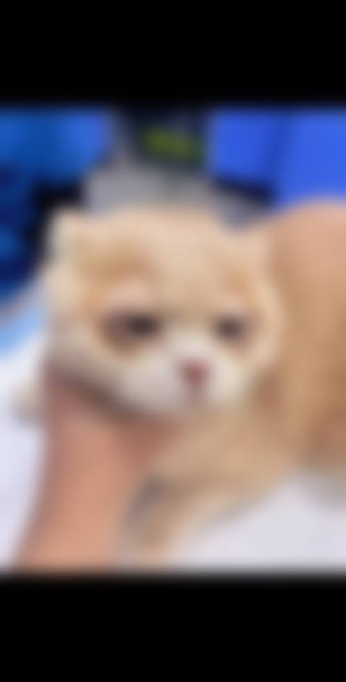 高端检查设备与环境保护