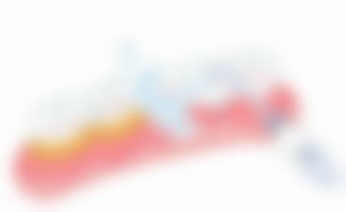 预约优惠活动:当前可享的专属补贴