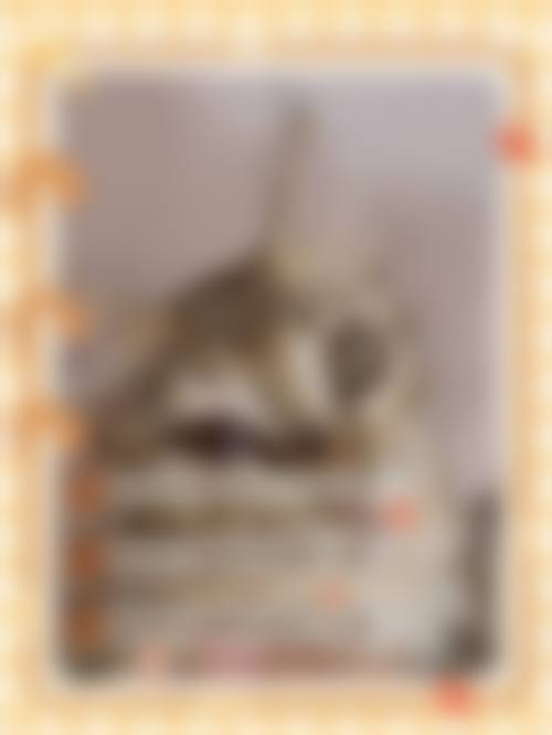 常见问题解答(FAQ)